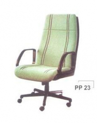 PP-23