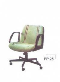 PP-25