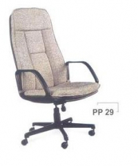 PP-29