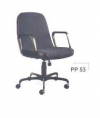 PP-53